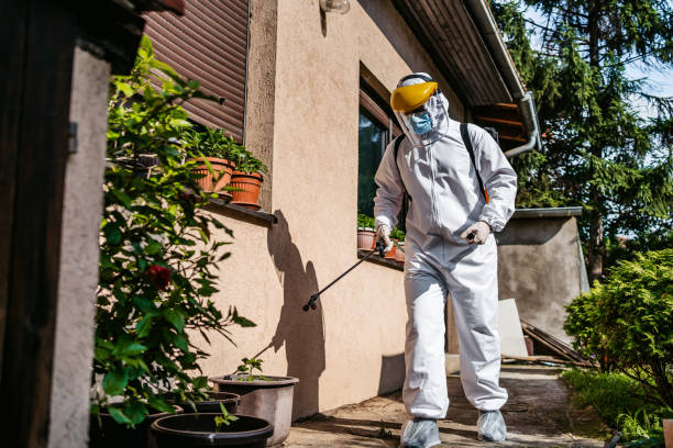Best Wildlife Control Services  in Beach Haven, NJ