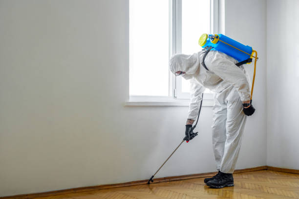 Best Wasp Removal Services  in Beach Haven, NJ