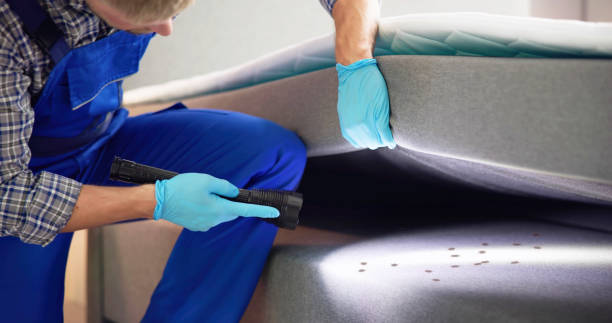 Best Residential Pest Control  in Beach Haven, NJ