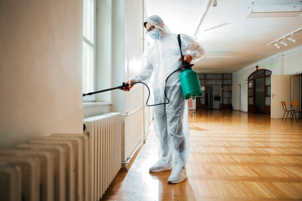Best Pest Control for Businesses  in Beach Haven, NJ