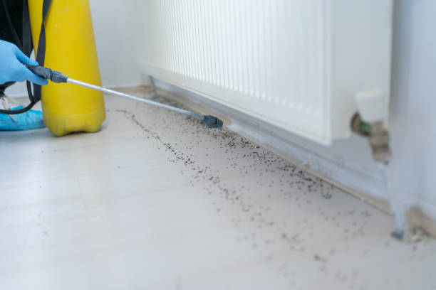 Beach Haven, NJ Pest Control Company